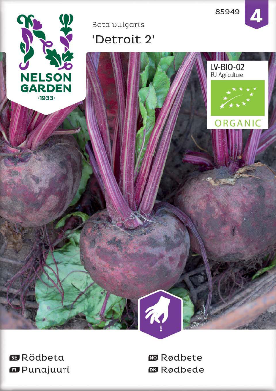 Rödbeta 'Detroit 2' Organic frö - Fröer