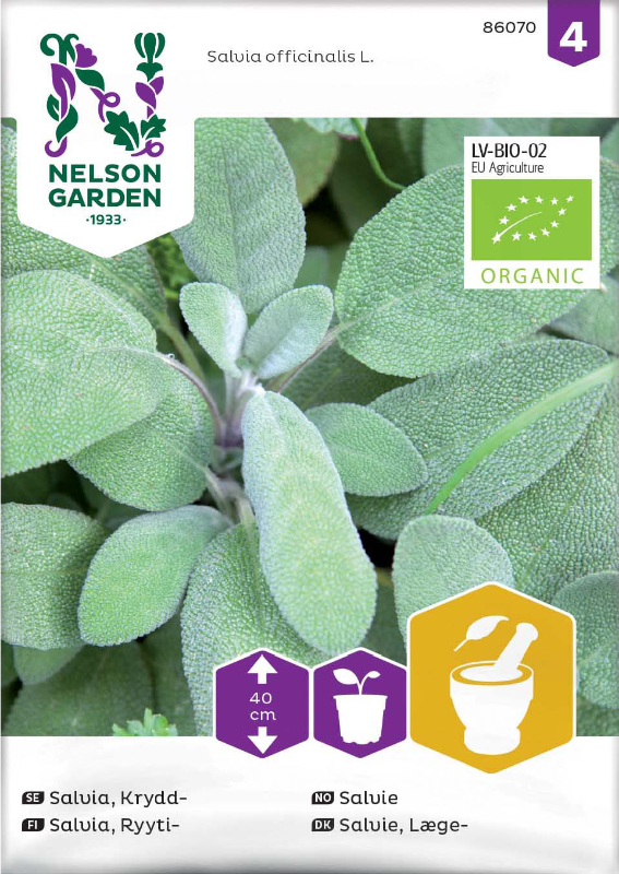 Kryddsalvia Organic frö - Fröer