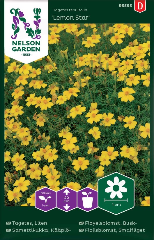 Tagetes 'Lemon Star' frö - Fröer