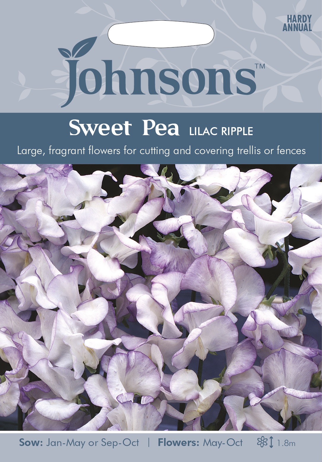 Luktärt 'Lilac Ripple' - Fröer