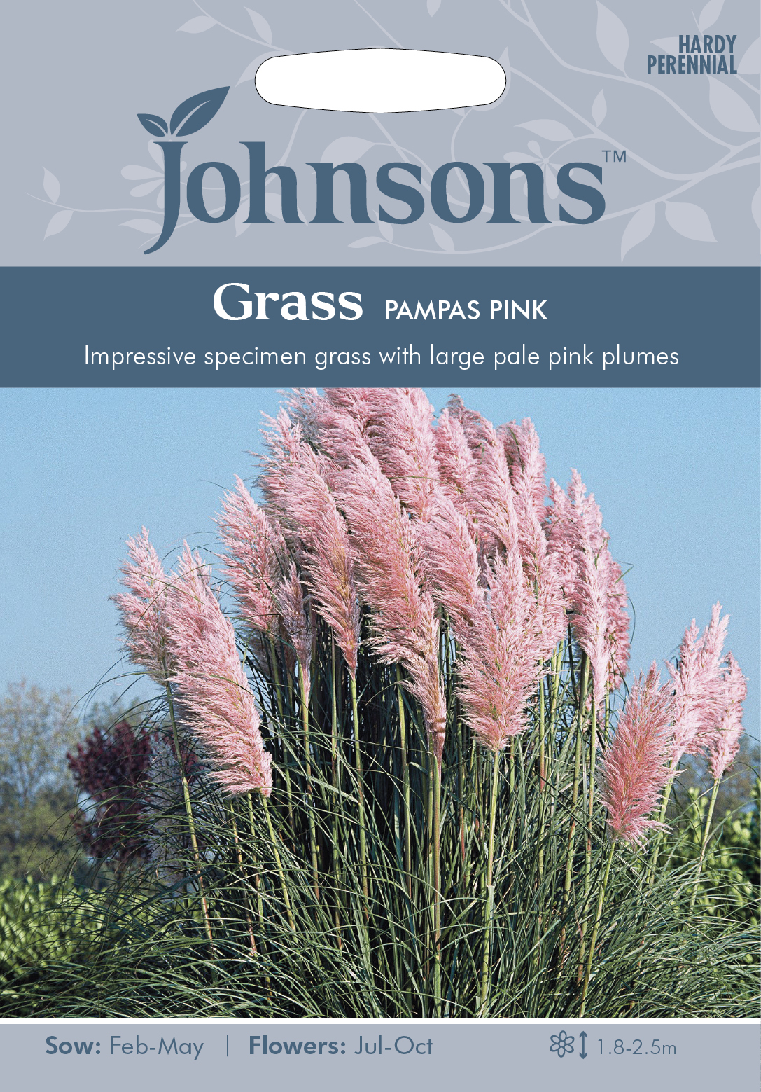 Pampasgräs 'Pampas Pink', frö - Fröer