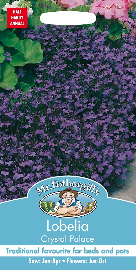 Kantlobelia 'Crystal Palace', frö - Fröer