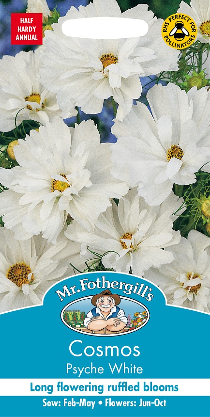 Rosenskära 'Psyche White', frö - Fröer