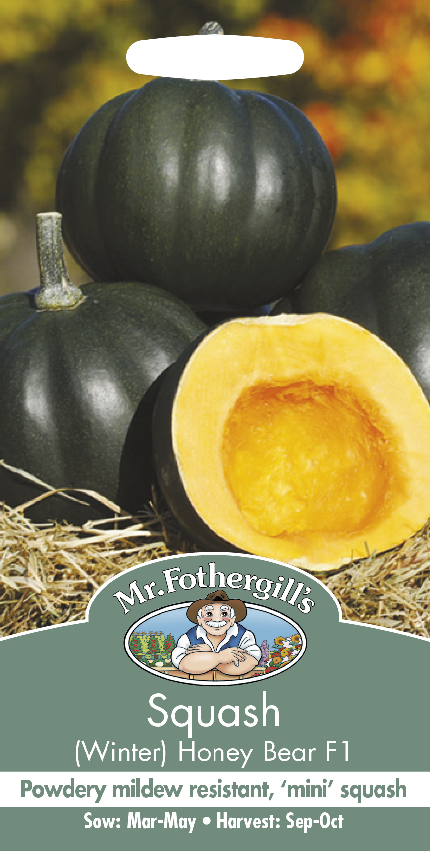 Squash (Winter) Honey Bear F1 - Fröer