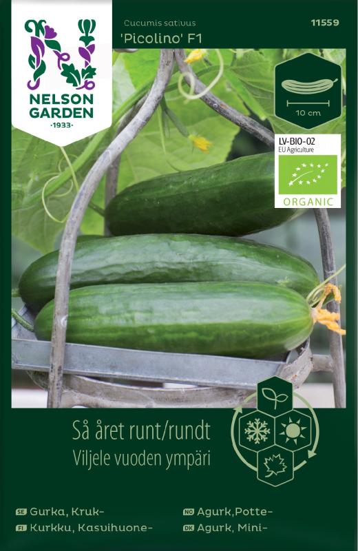 Krukgurka 'Picolino' F1 Organic frö - Fröer