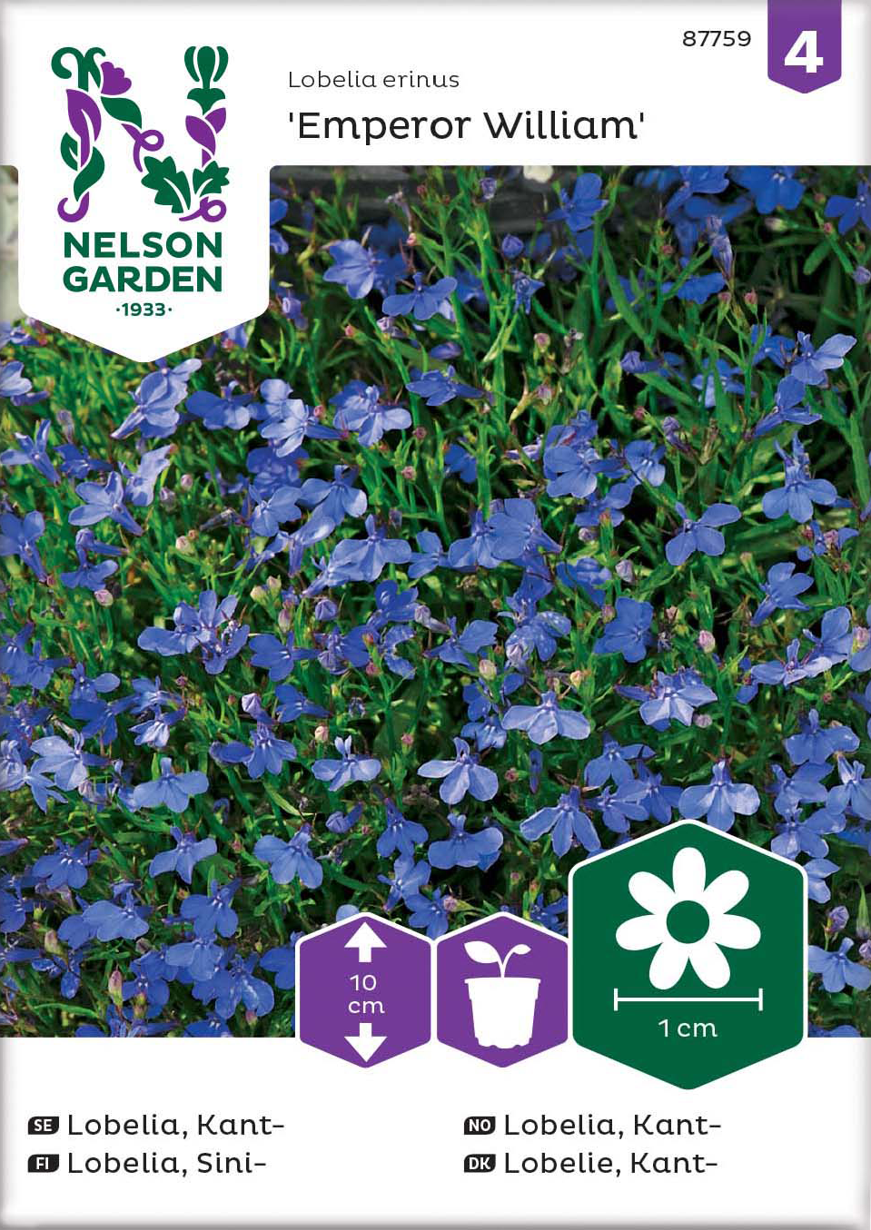 Kantlobelia 'Emperor William' frö - Fröer
