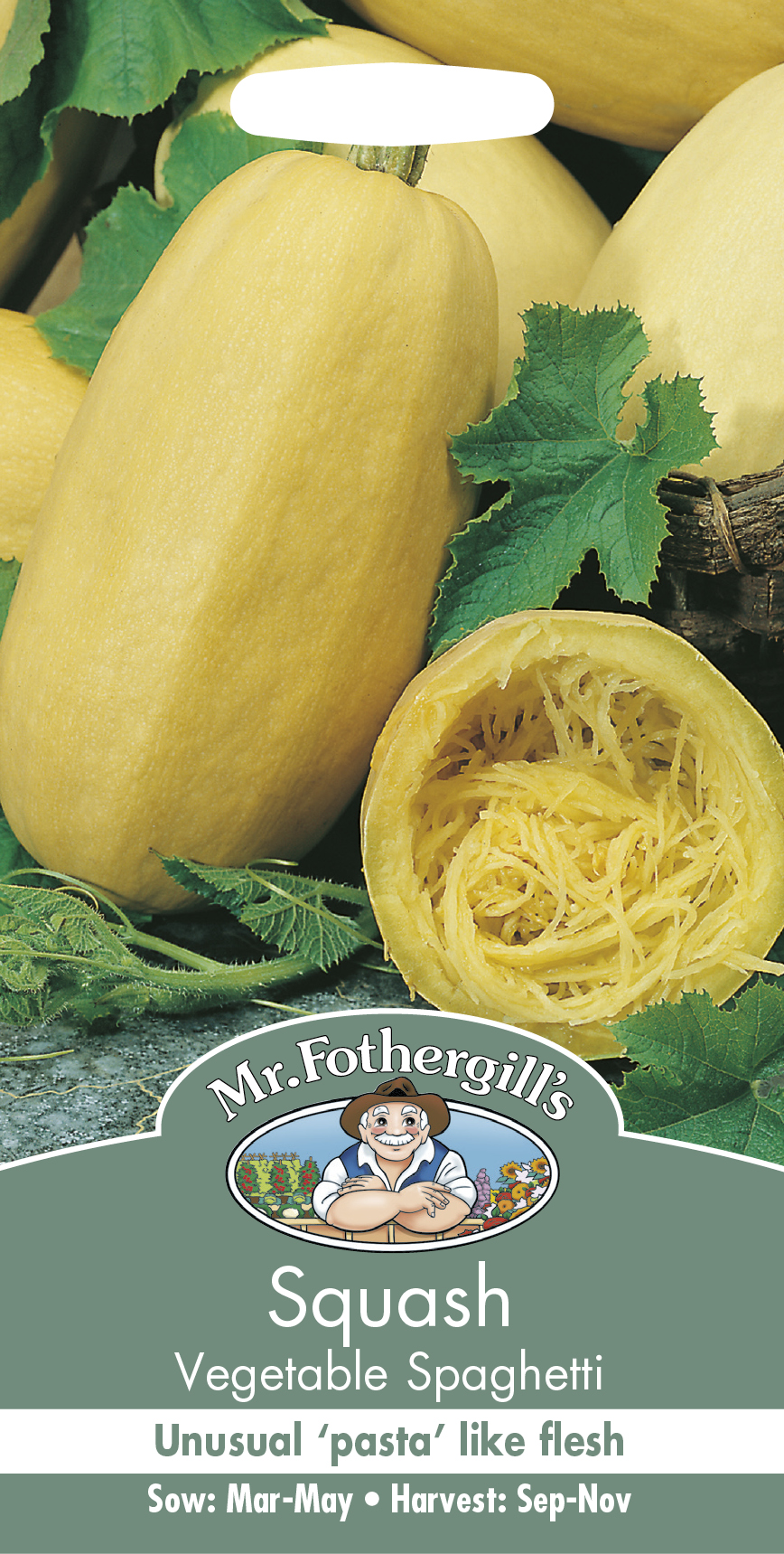 SQUASH Vegetable Spaghetti - Fröer
