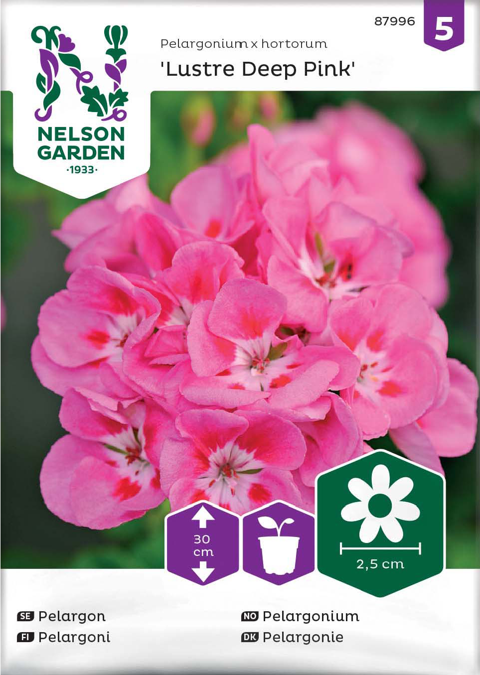 Pelargon 'Lustre Deep Pink' - Fröer