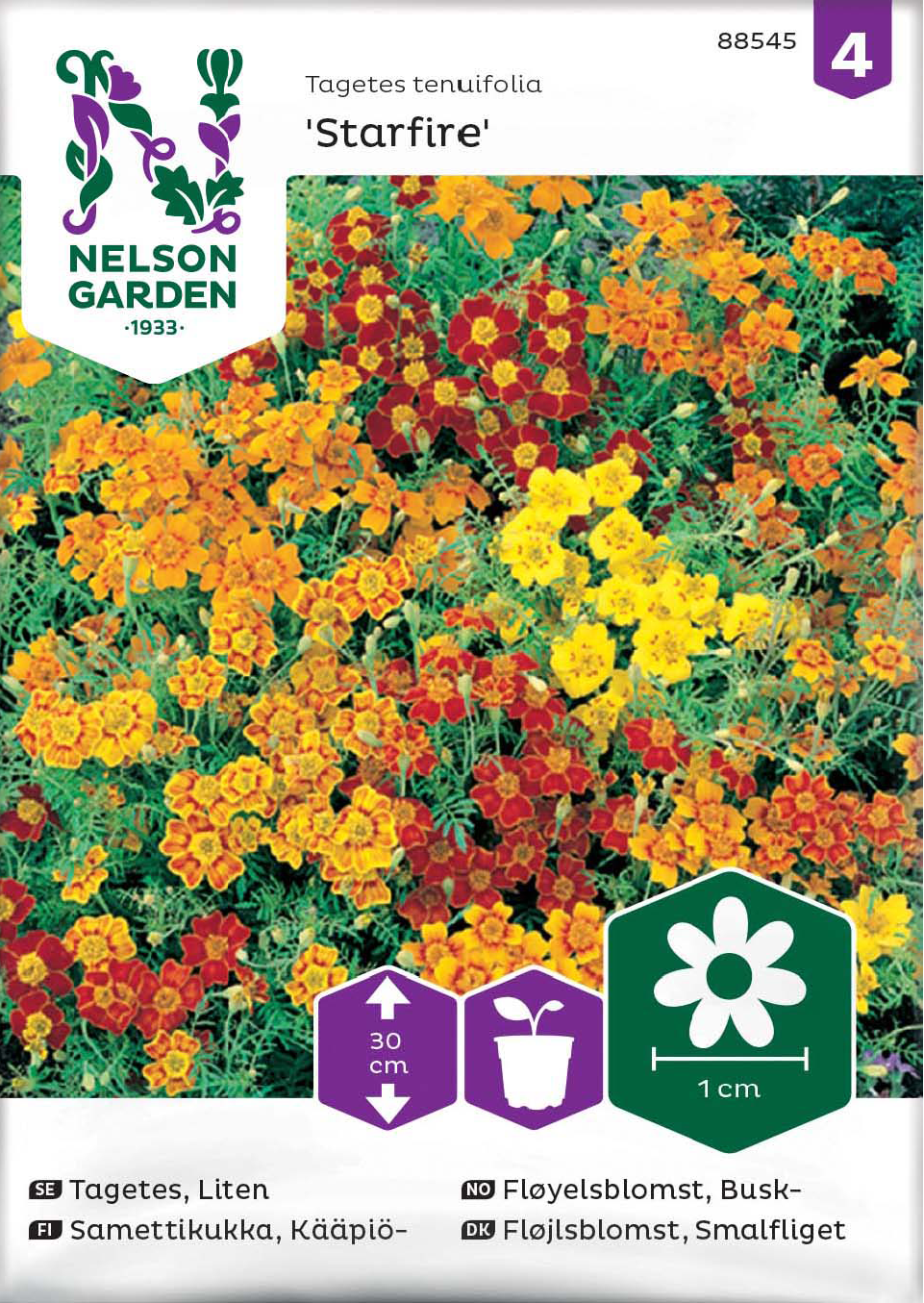 Tagetes, Liten 'Starfire' - Fröer