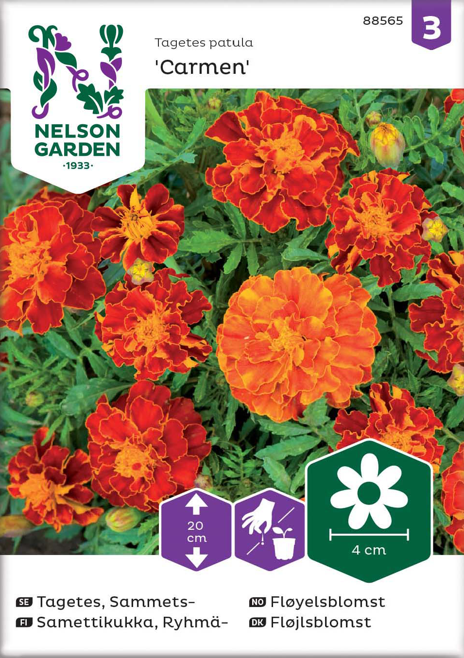 Tagetes, Sammets- 'Carmen' - Fröer