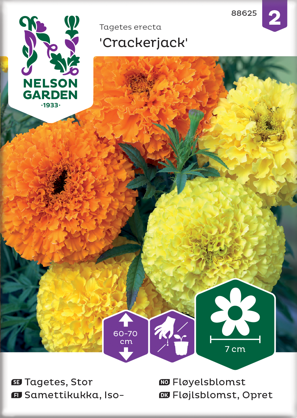 Tagetes, Stor 'Crackerjack' - Fröer
