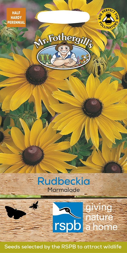 Sommarrudbeckia'Marmalade', frö - Fröer
