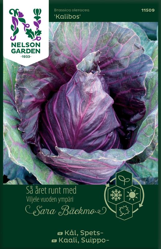 Spetskål 'Kalibos' frö - Fröer