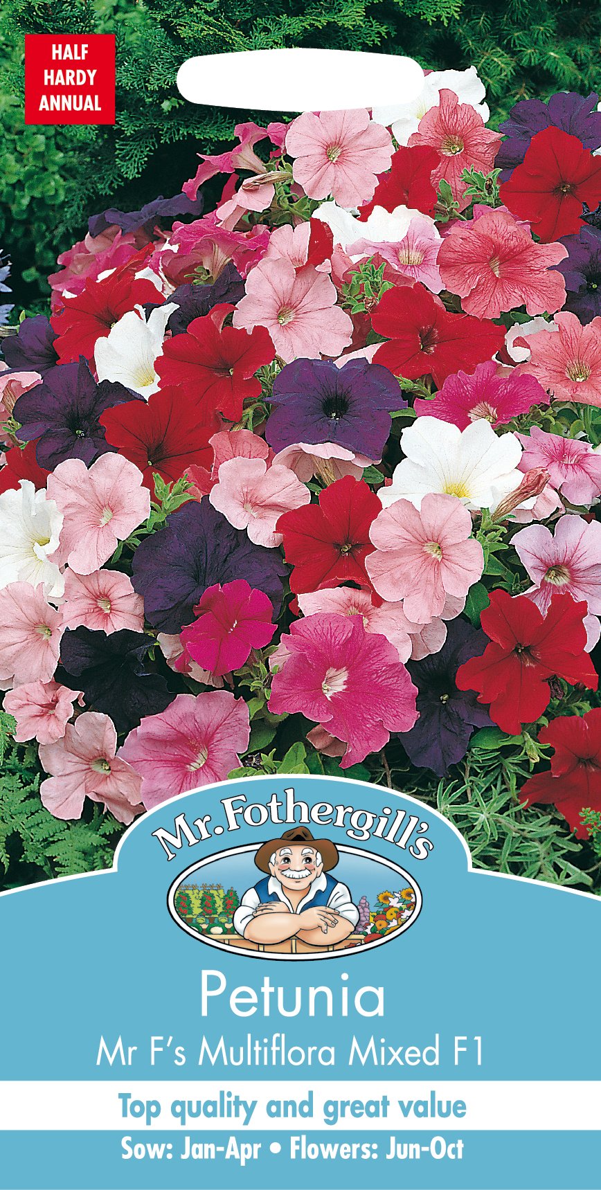 Petunia 'Mr F's Multiflora F1' mix, frö - Fröer