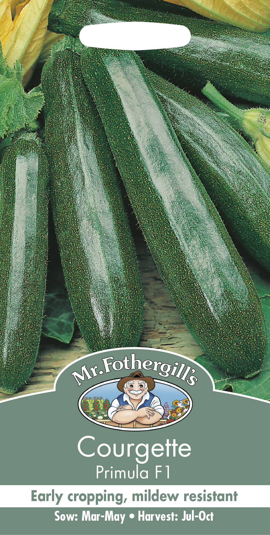 Sommarsquash 'Primula F1' - Fröer