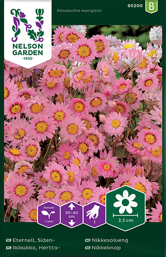 Sideneternell Rosa - Fröer