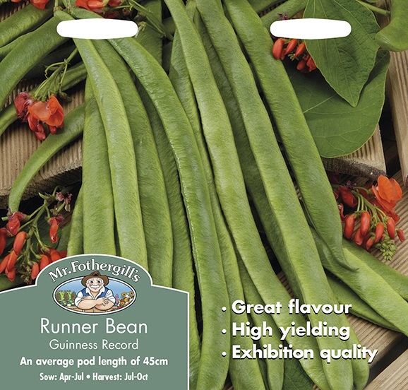 Blomsterböna 'Guinness Record', frö - Fröer