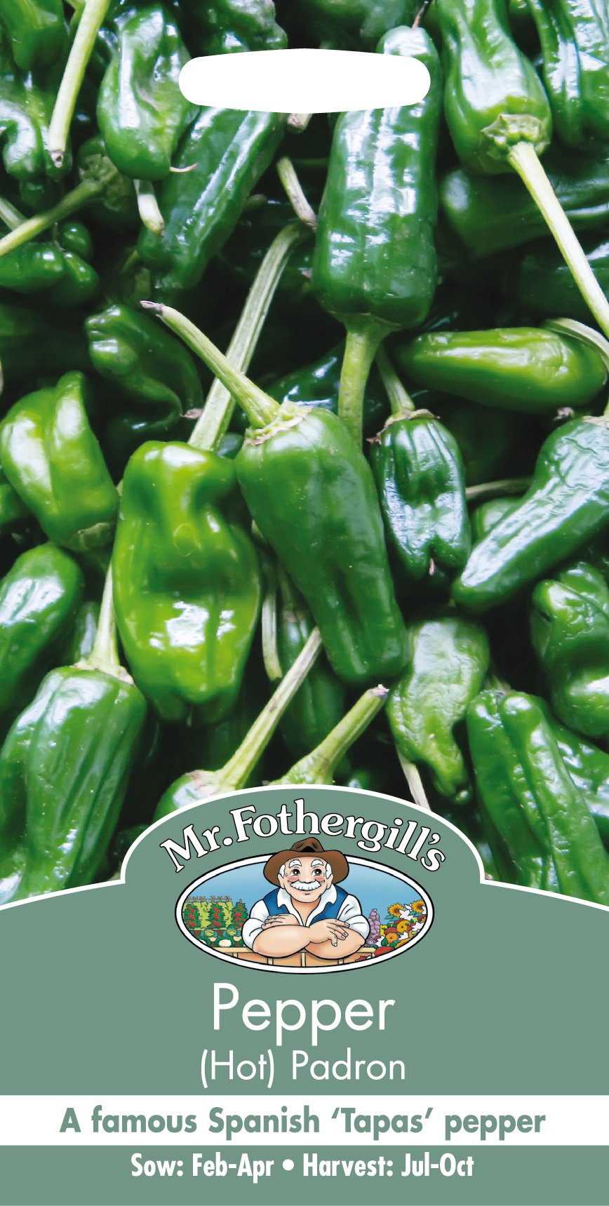 Chili (Hot) 'Padron' - Fröer