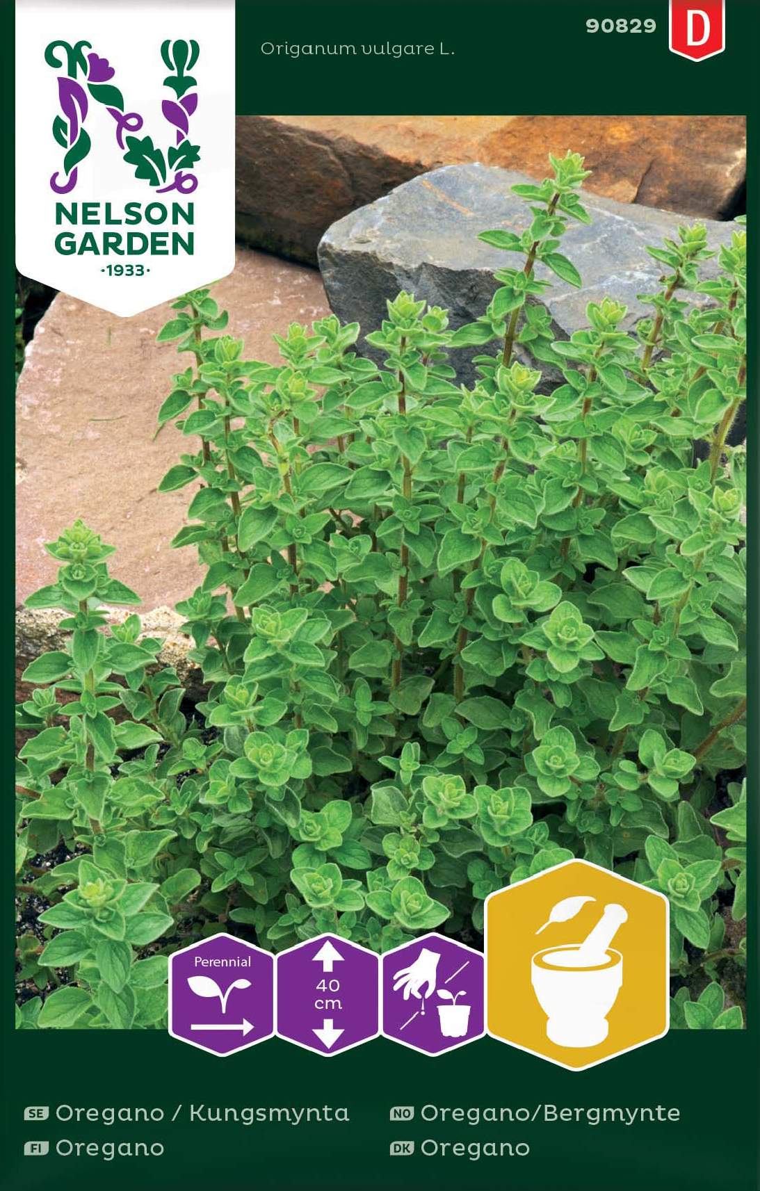 Oregano (Kungsmynta) frö - Fröer