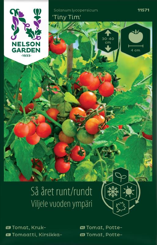 Kruktomat 'Tiny Tim' frö - Fröer