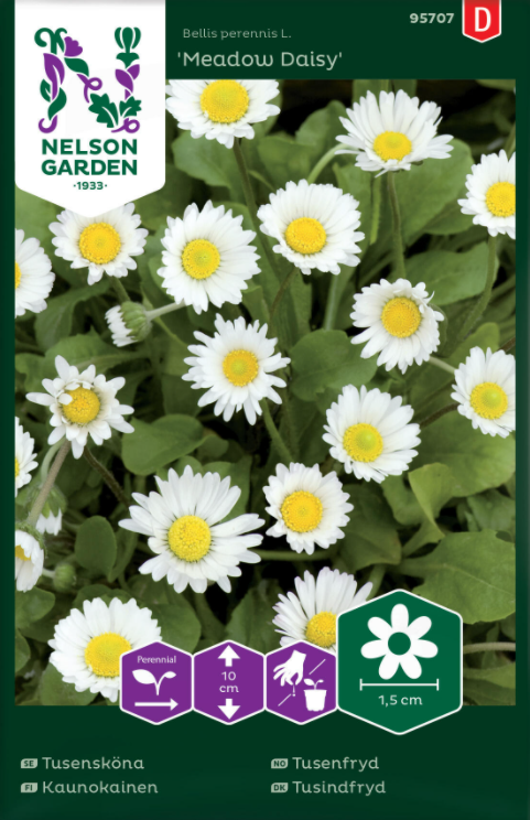 Tusensköna 'Meadow Daisy' frö - Fröer