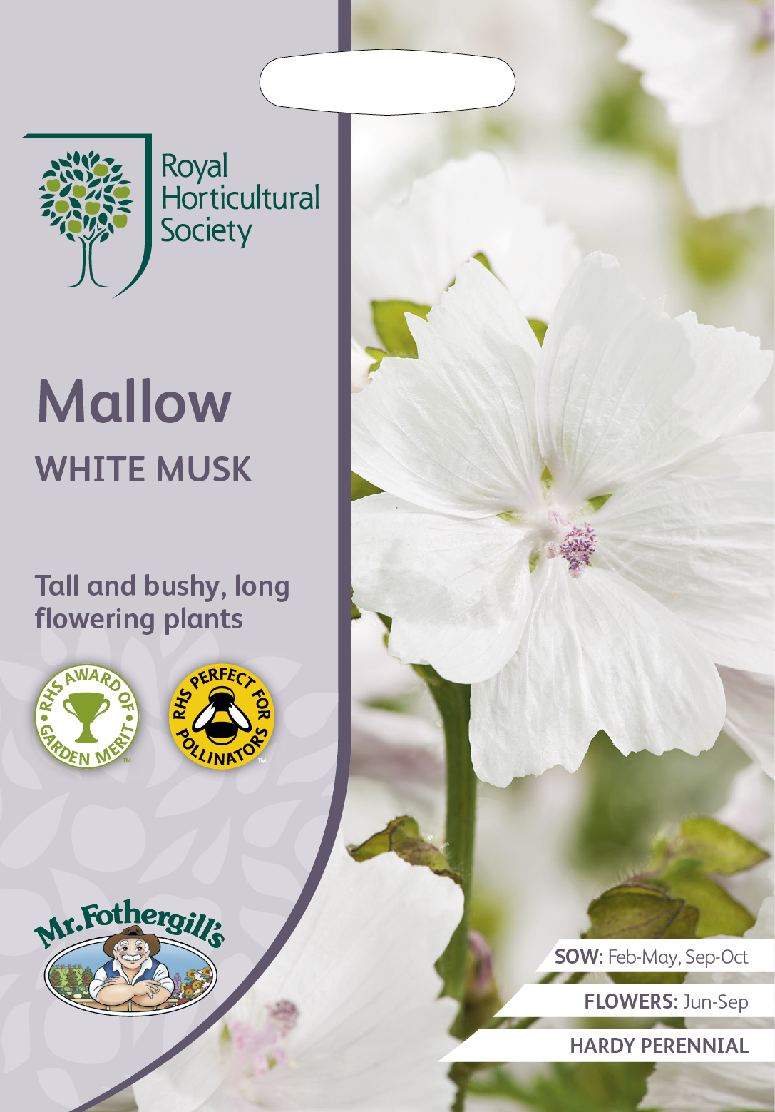 Myskmalva 'White Musk', frö - Fröer