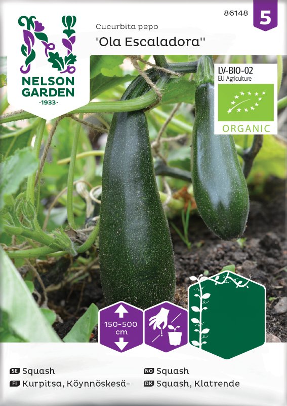 Klängsquash 'Ola Escaladora' Organic frö - Fröer