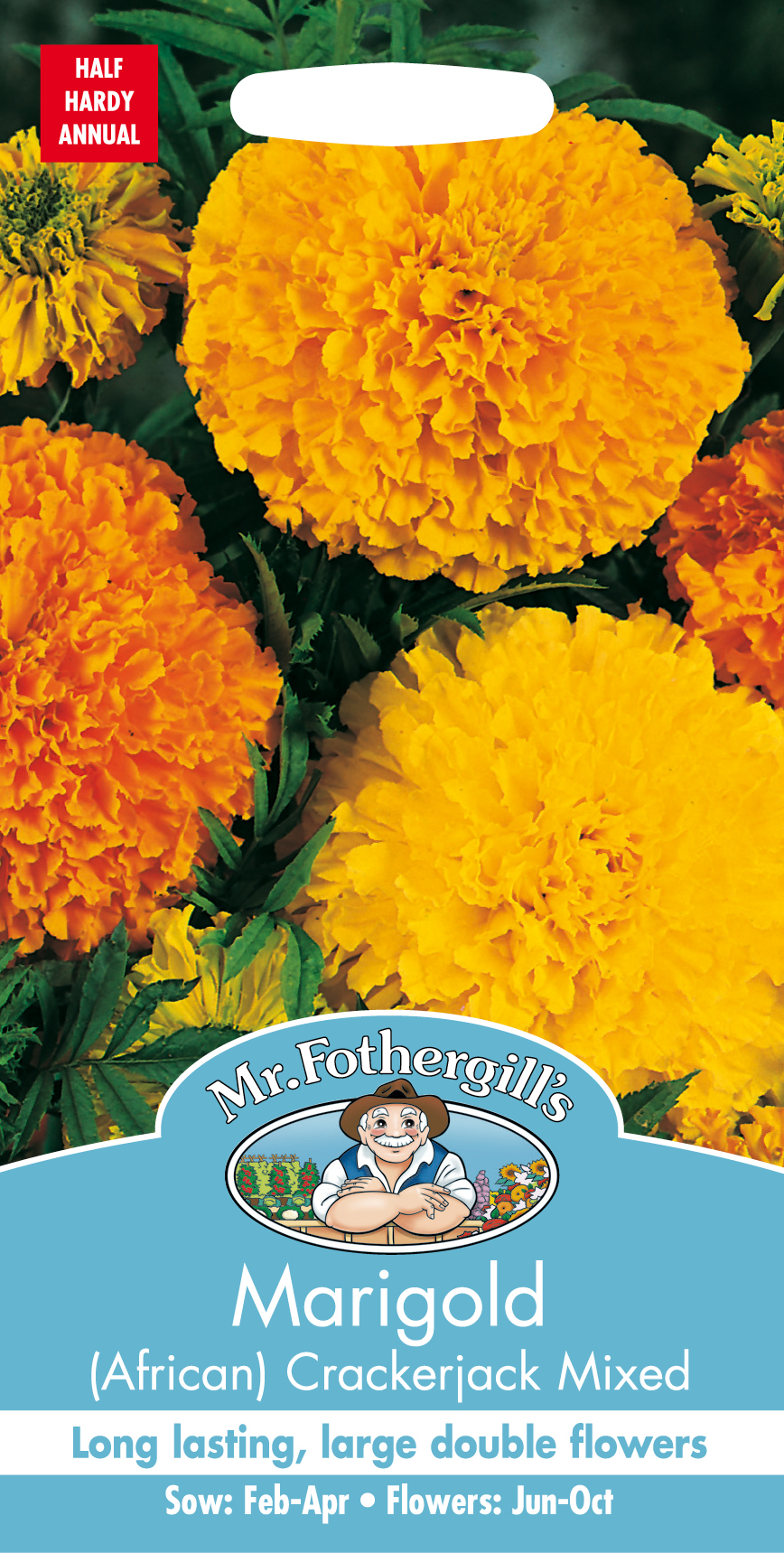 Stor tagetes (afrikansk) 'Crackerjack' mix, frö - Fröer