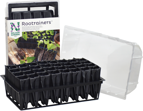 Rootrainers - Fröer