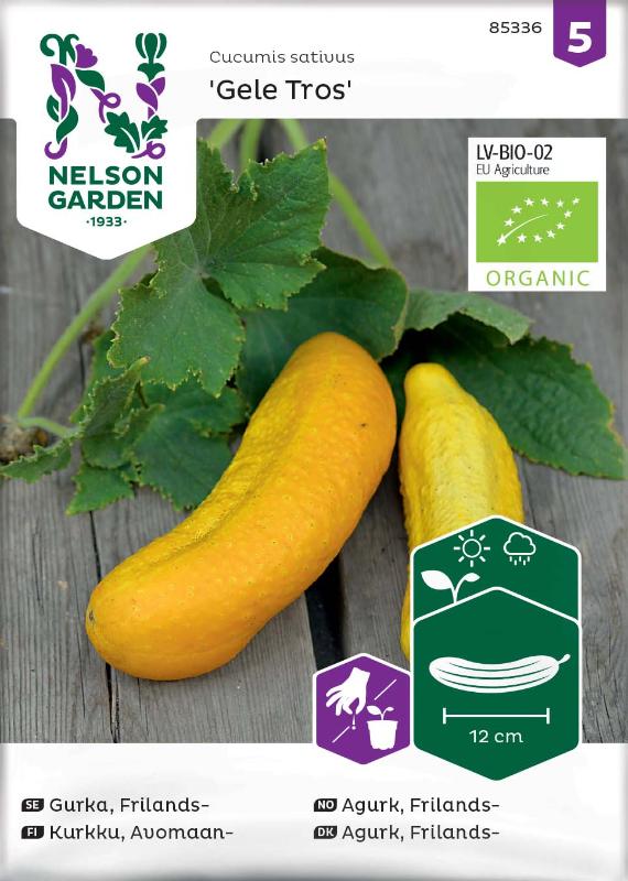 Frilandsgurka 'Gele Tros' Organic frö - Fröer
