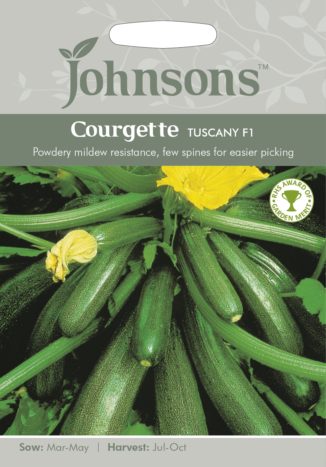 Sommarsquash 'Tuscany F1' - Fröer