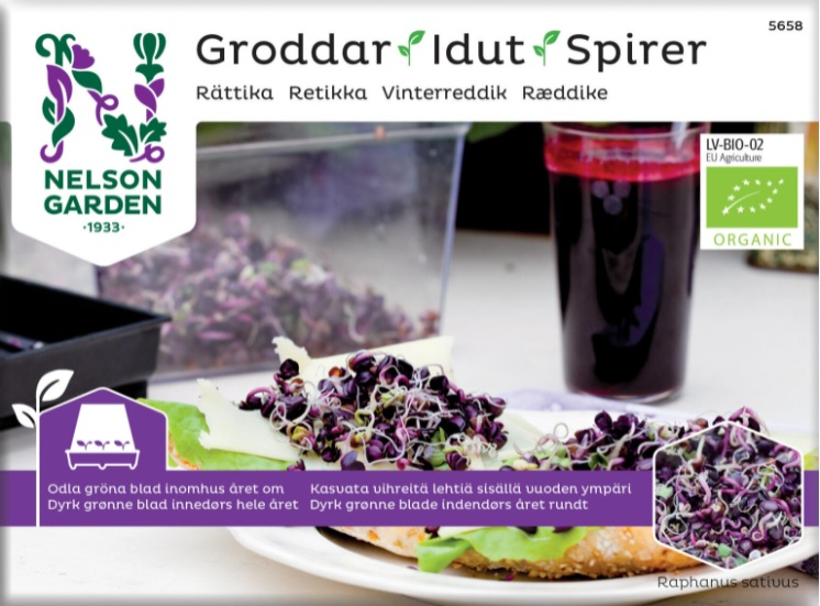 Groddar 'Rättika' Organic - Fröer