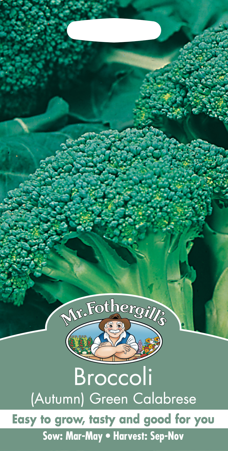 Broccoli  'Green Calabrese' - Fröer
