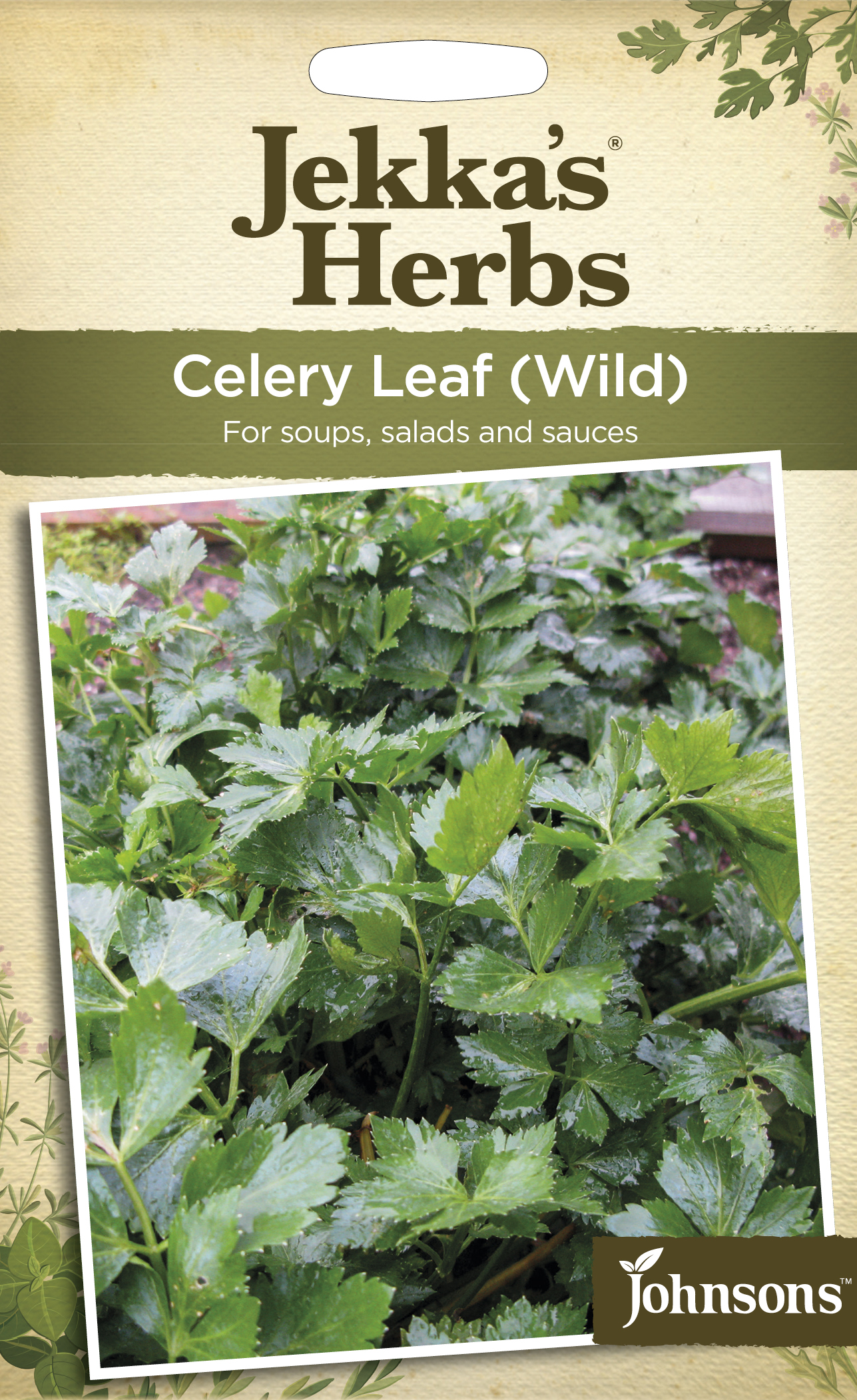 Selleri 'Leaf Wild' frö - Fröer
