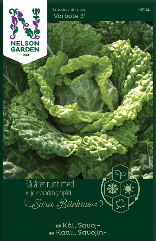 Savojkål 'Vorbote' frö - Fröer