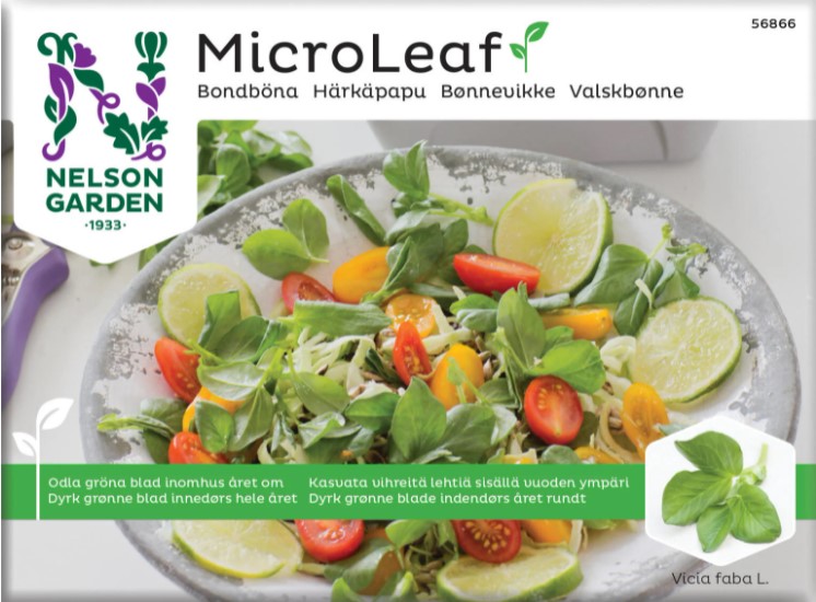 Micro Leaf 'Bondböna' - Fröer