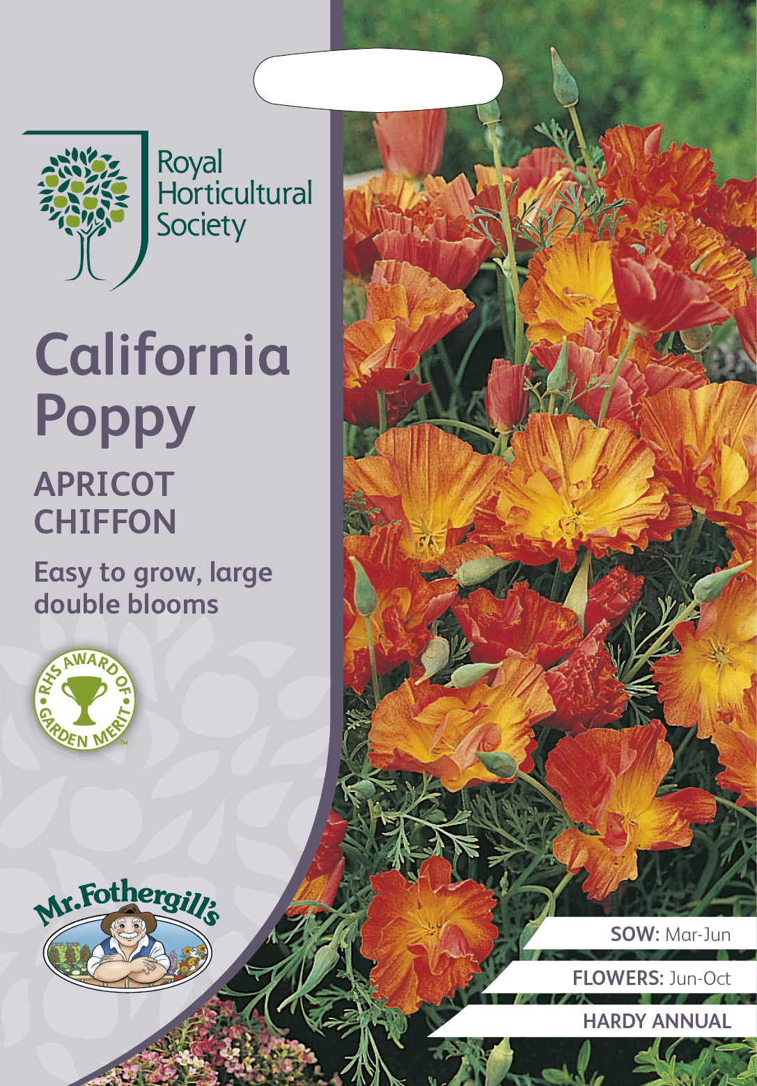 Sömntuta 'California Apricot Chiffon', frö - Fröer