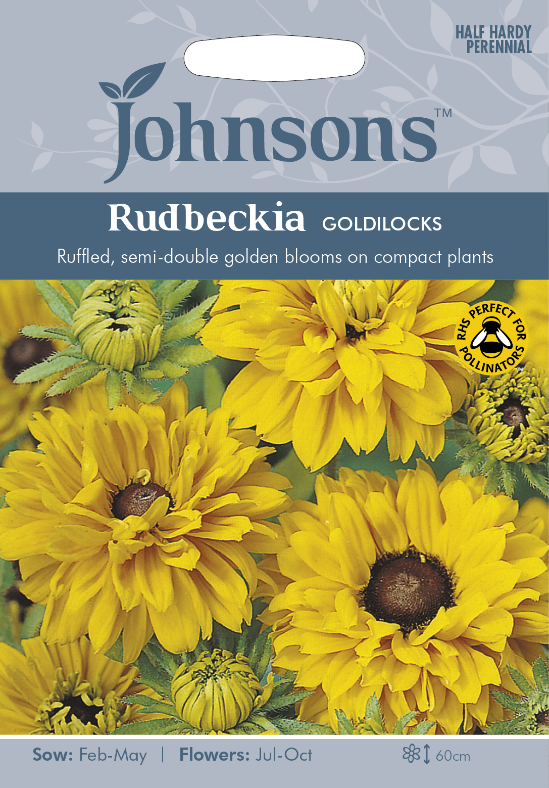 Sommarrudbeckia'Goldilocks', frö - Fröer