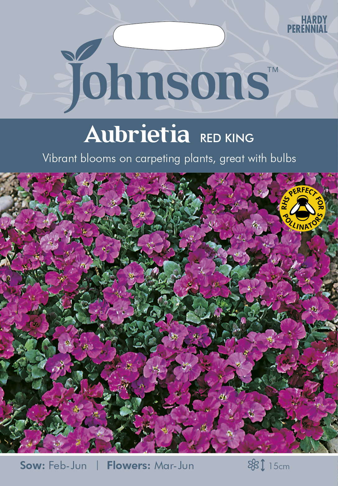 Aubretia 'Red King', frö - Fröer