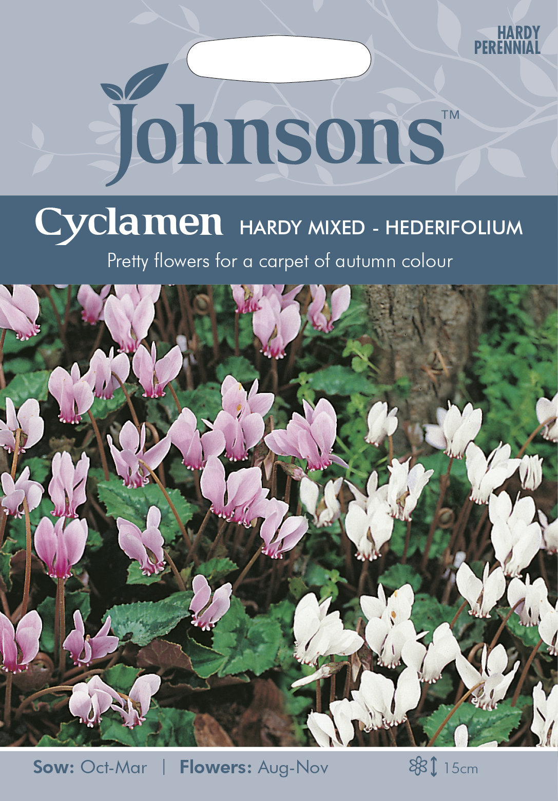 Höstcyklamen 'Hardy' mix, frö - Fröer