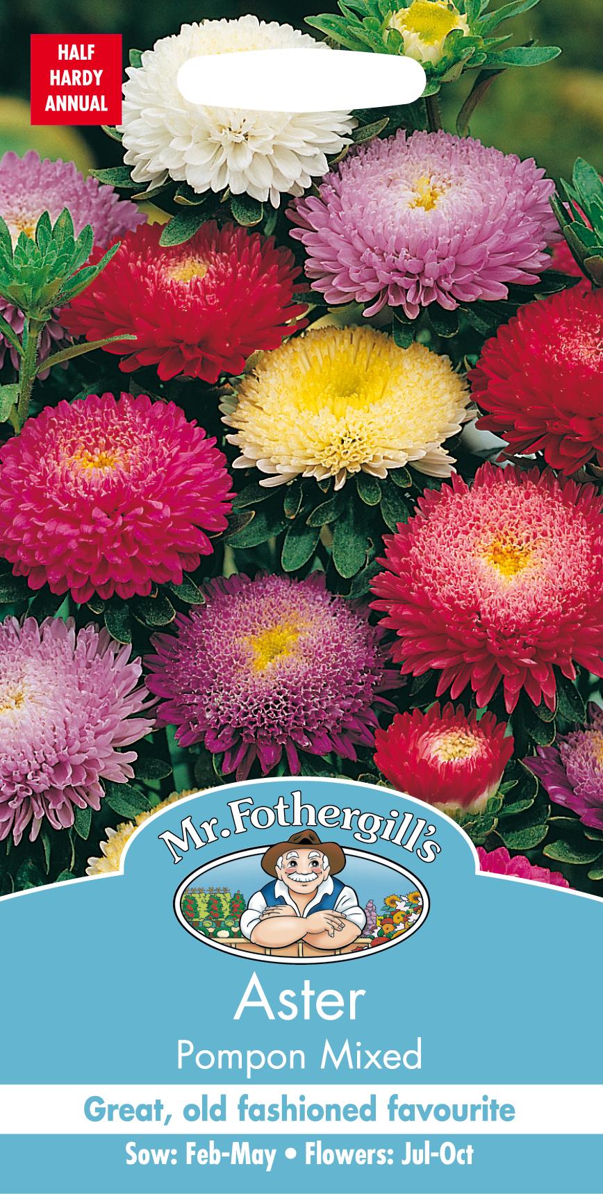 Sommaraster 'Pompon' mix, frö - Fröer