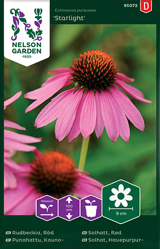 Rudbeckia 'Starlight' frö - Fröer