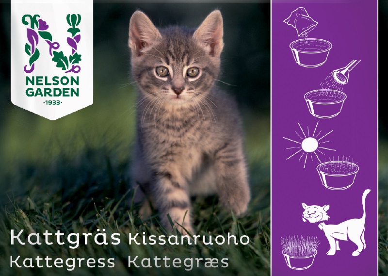Kattgräs, frö - Fröer