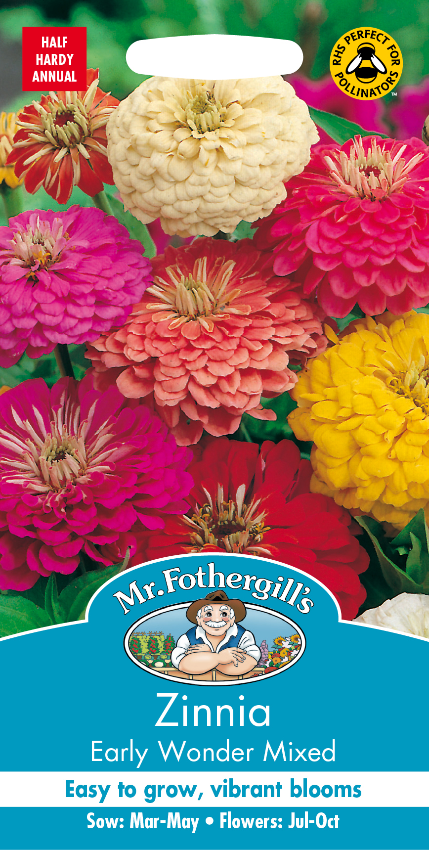 Zinnia 'Early Wonder' mix, frö - Fröer