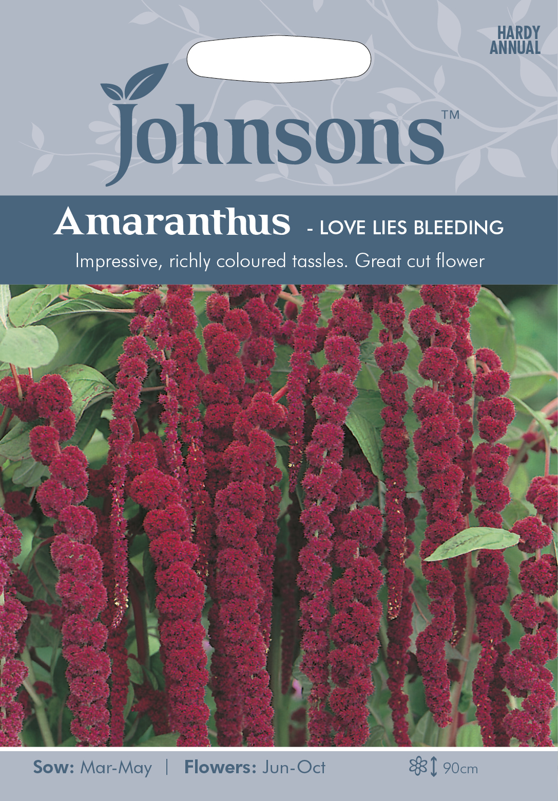 Rävsvans (Amarant) 'Love Lies Bleeding', frö - Fröer