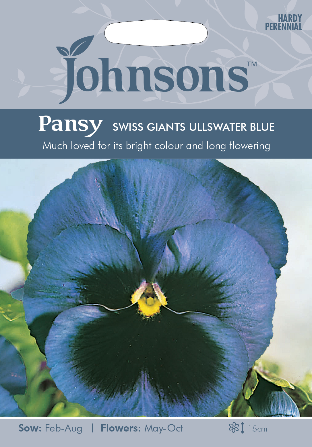 Pensé 'Swiss Giants Ullswater Blue', frö - Fröer