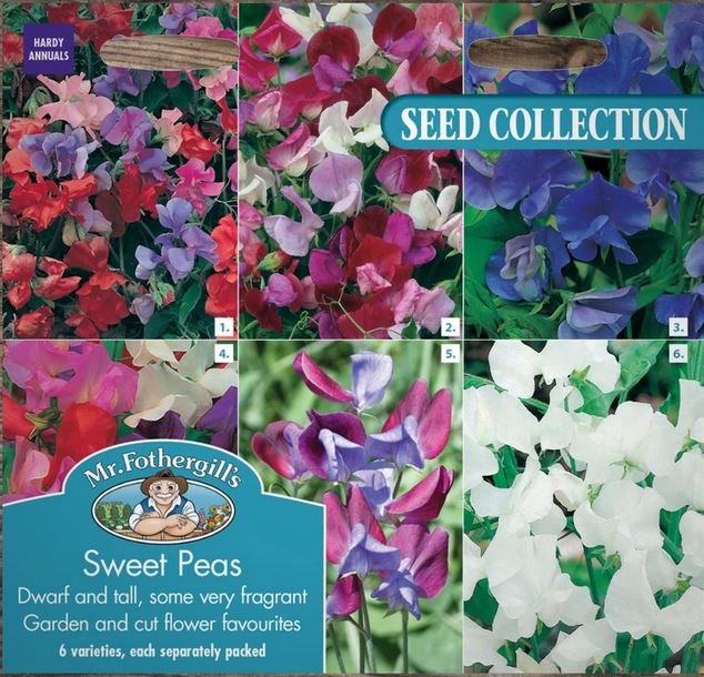 Luktärt, Collection - 6 sorter - Fröer