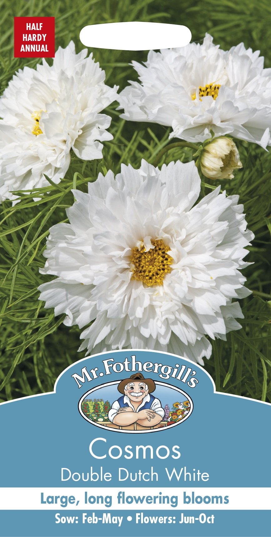 Rosenskära 'Double Dutch White' frö - Fröer