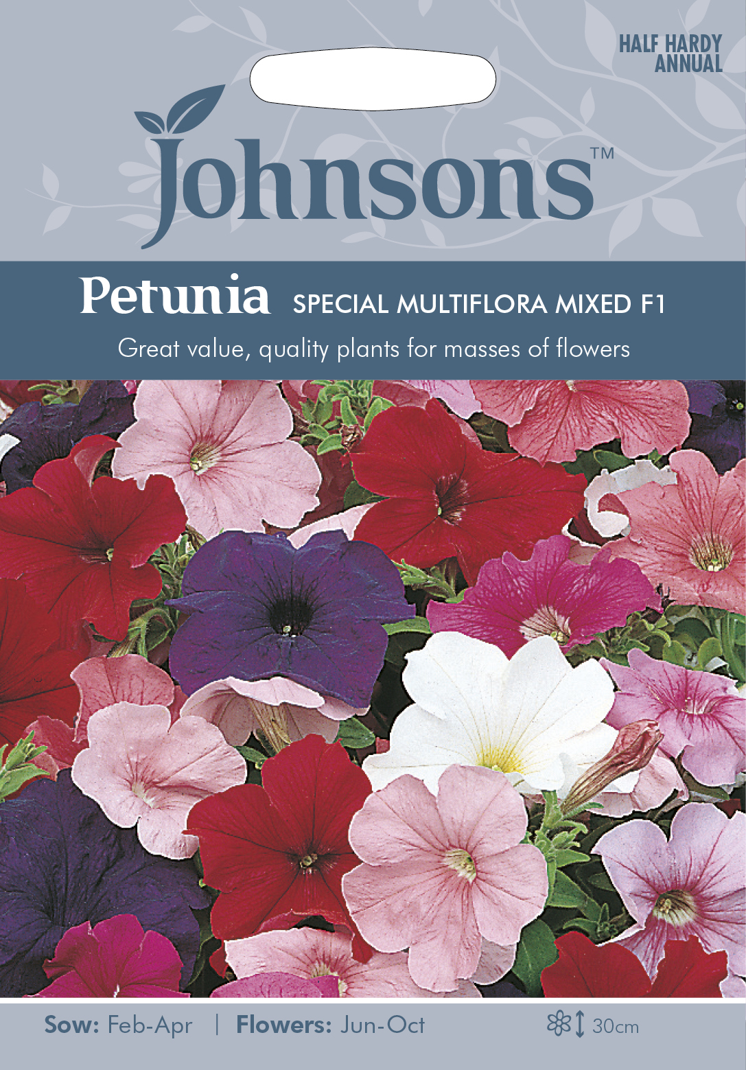 Petunia 'Special Multiflora' F2 mix, frö - Fröer