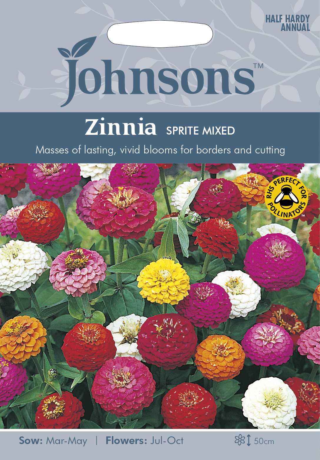 Zinnia 'Sprite' mix, frö - Fröer